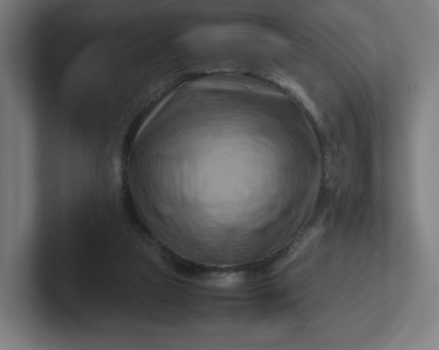 X0000102010161200808011150