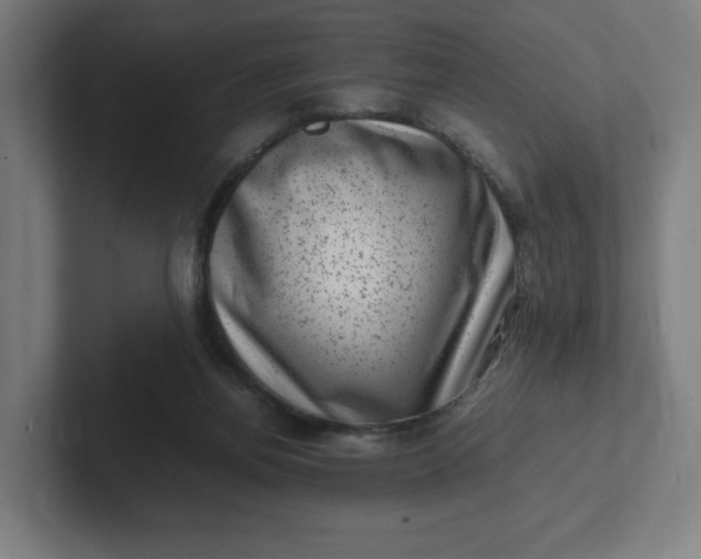 X0000102010164200808011150