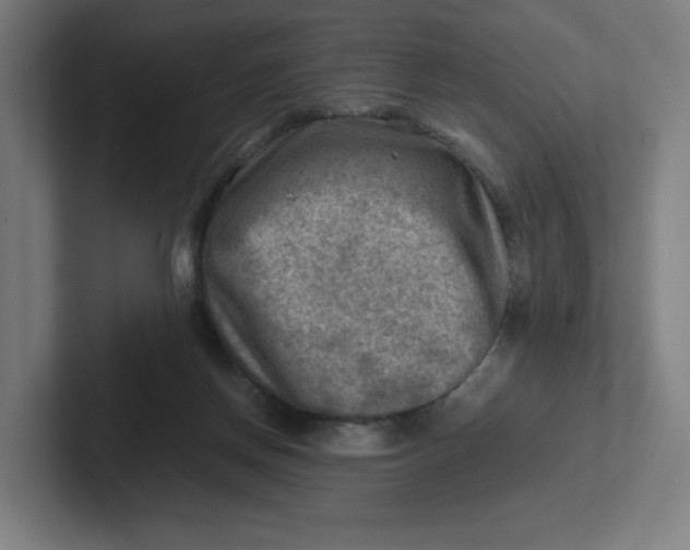 X0000102010166200808011150