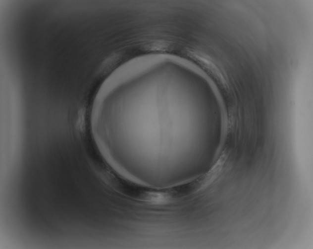 X0000102010167200808011150