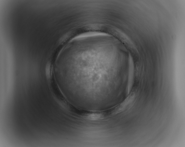 X0000102010168200808011150