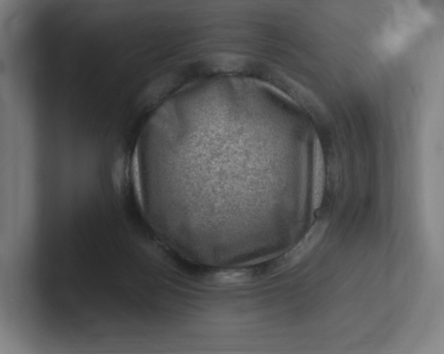 X0000102010172200808011150