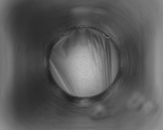 X0000102010173200808011150