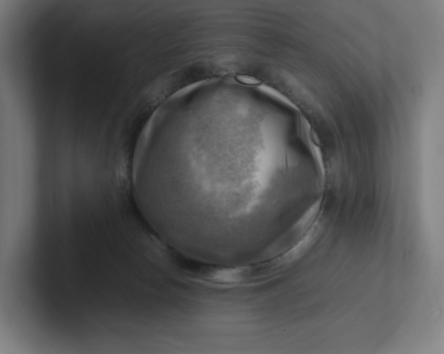 X0000102010178200808011150