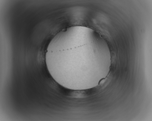 X0000102010179200808011150