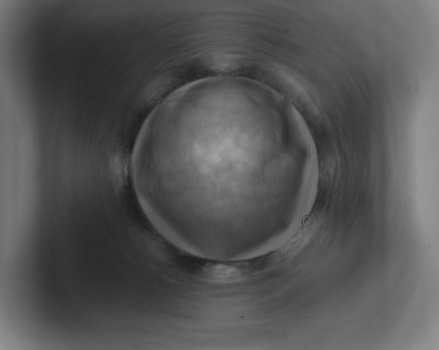 X0000102010180200808011150