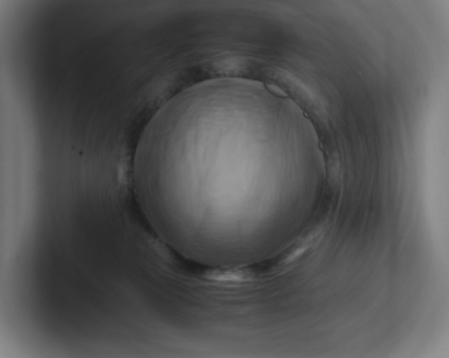 X0000102010181200808011150