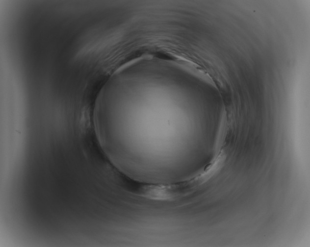 X0000102010182200808011150