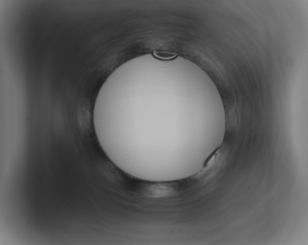 X0000102010183200808011150