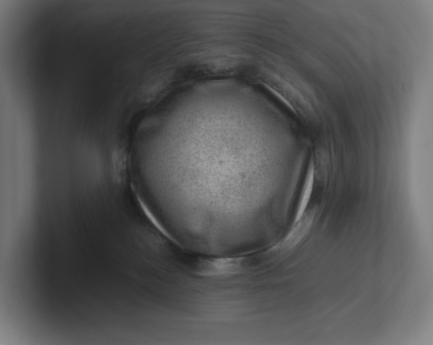 X0000102010184200808011150