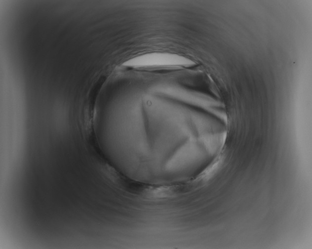 X0000102010186200808011150