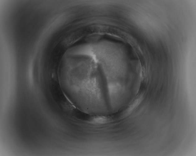 X0000102010189200808011150