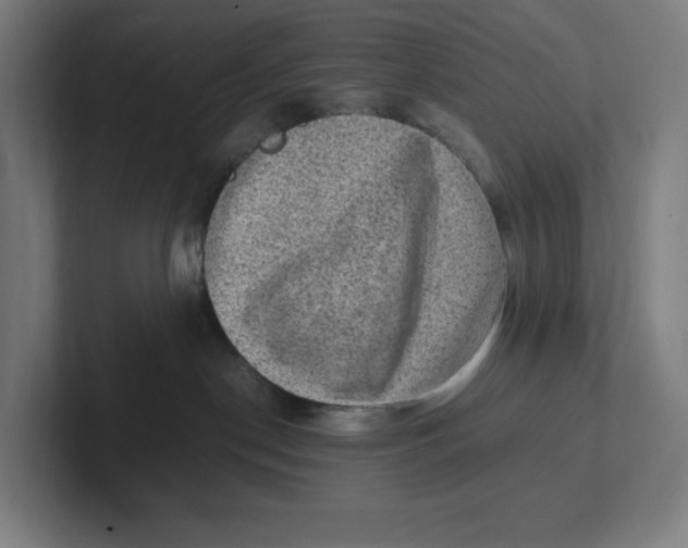 X0000102010190200808011150