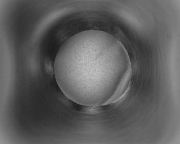 X0000102010191200808011150