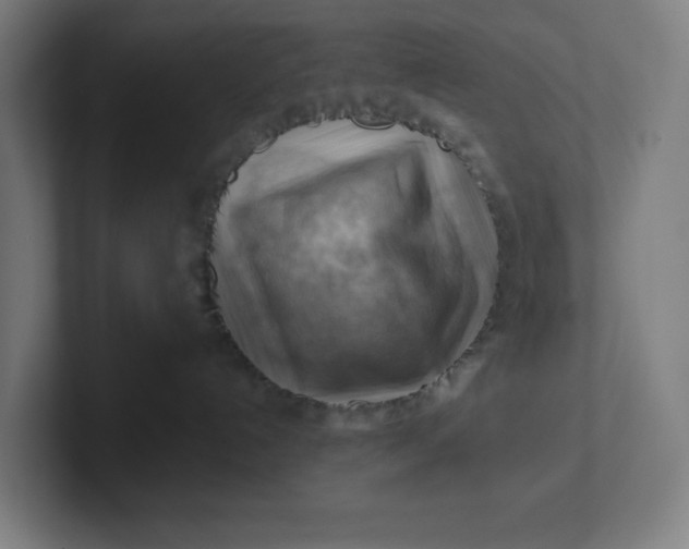 X0000102010192200808011150