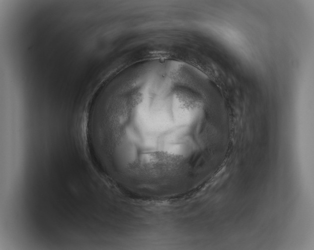 X0000102010194200808011150