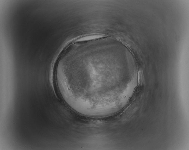 X0000102010195200808011150