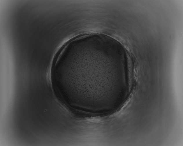 X0000102010196200808011150