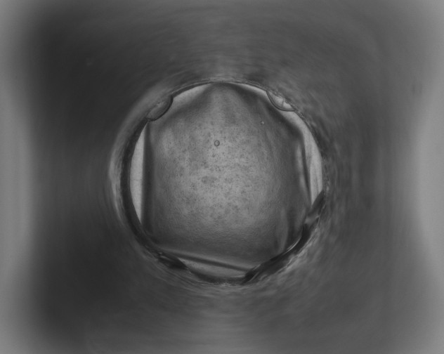 X0000102010197200808011150