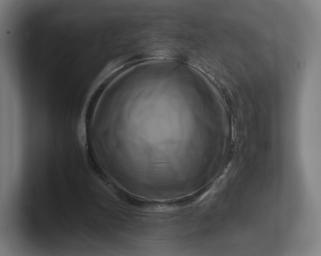 X0000102010198200808011150