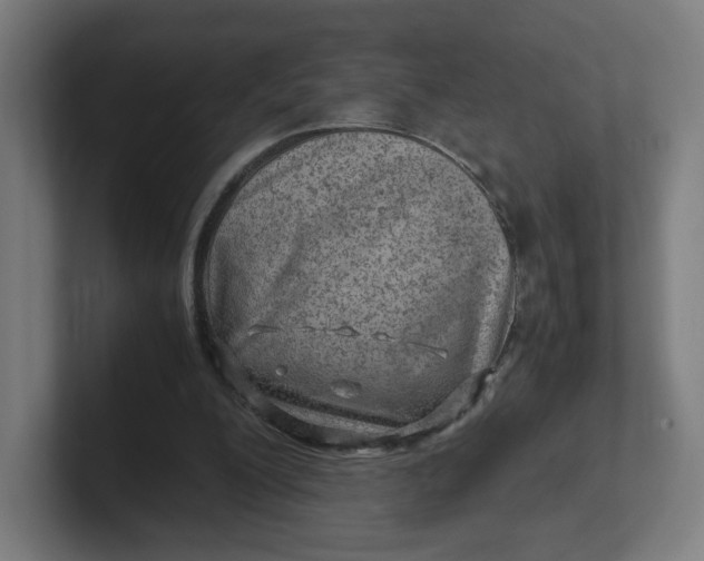 X0000102010200200808011150