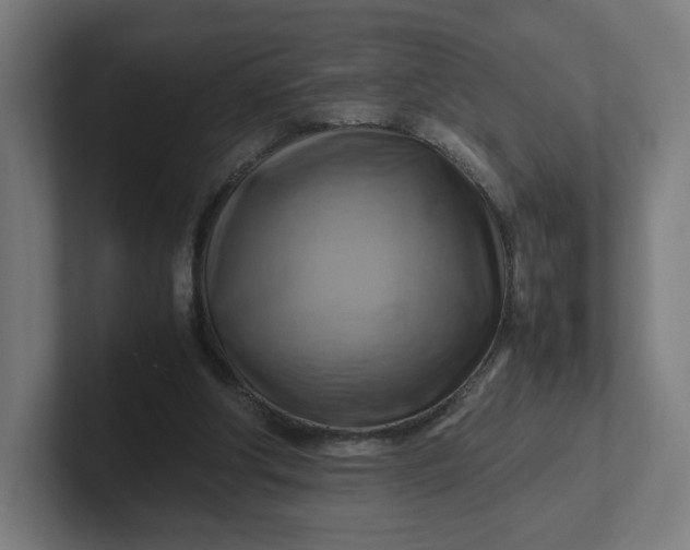 X0000102010202200808011150