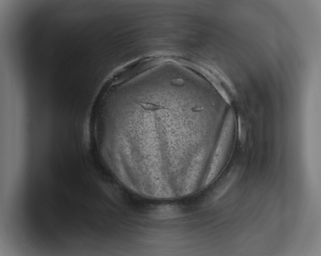 X0000102010204200808011150