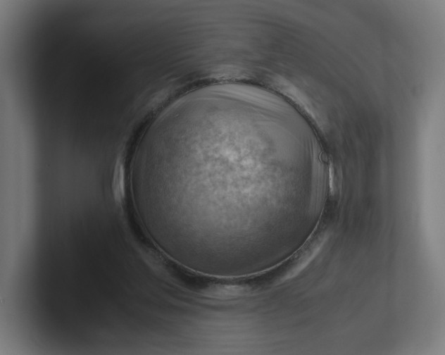 X0000102010205200808011150