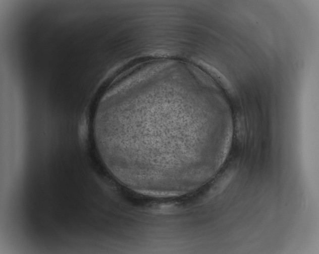 X0000102010208200808011150