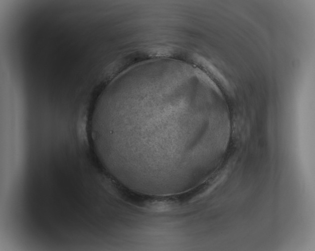 X0000102010209200808011150