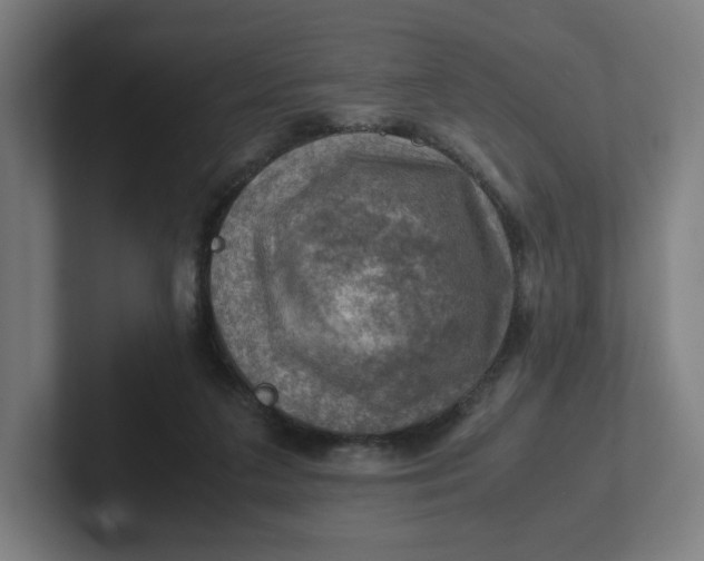 X0000102010211200808011150