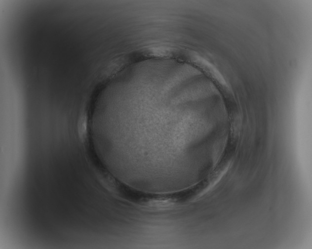 X0000102010213200808011150