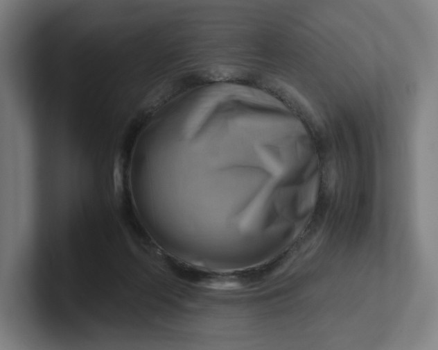 X0000102010214200808011150