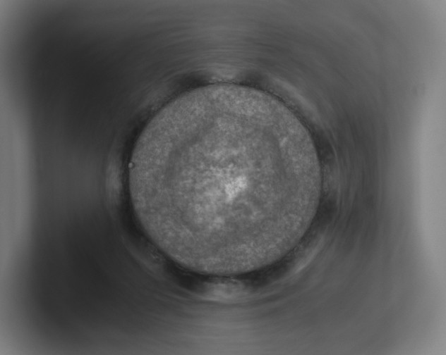 X0000102010215200808011150