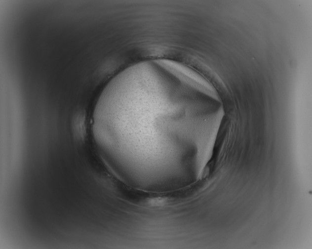 X0000102010216200808011150