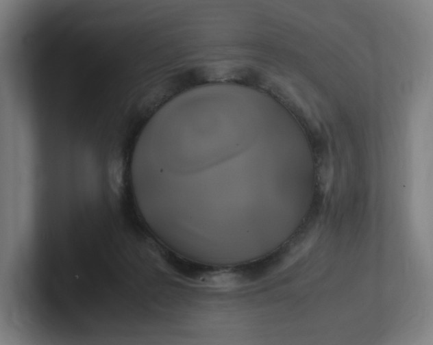 X0000102010219200808011150