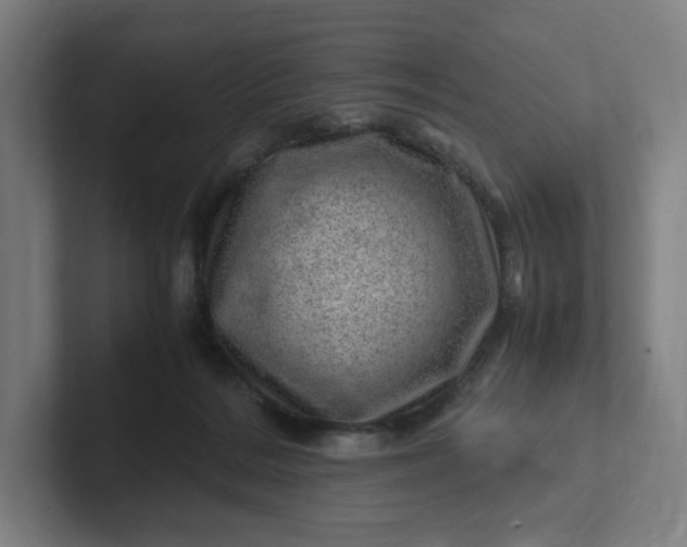 X0000102010220200808011150