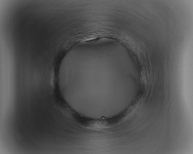 X0000102010223200808011149