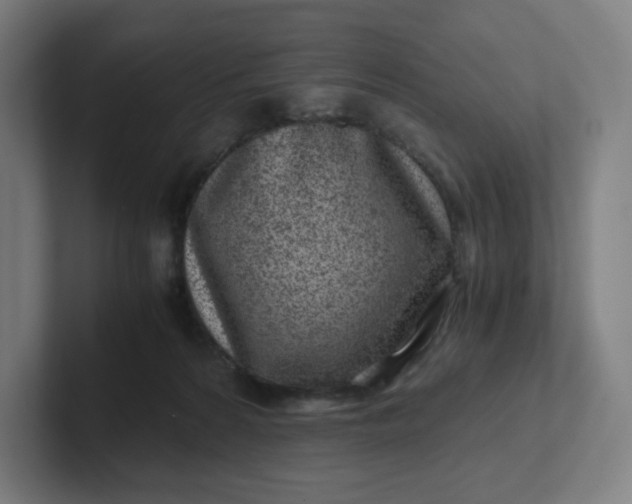 X0000102010224200808011149