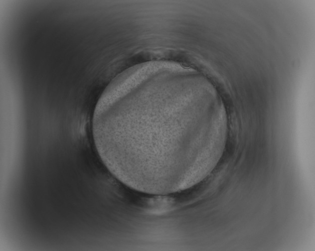 X0000102010225200808011149