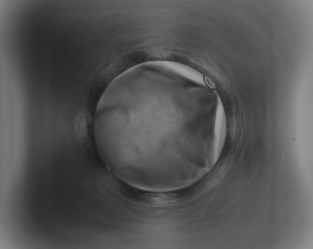 X0000102010229200808011149