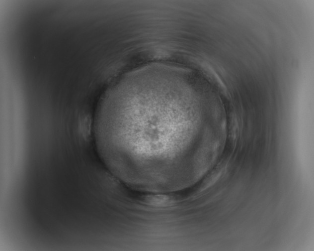 X0000102010230200808011149