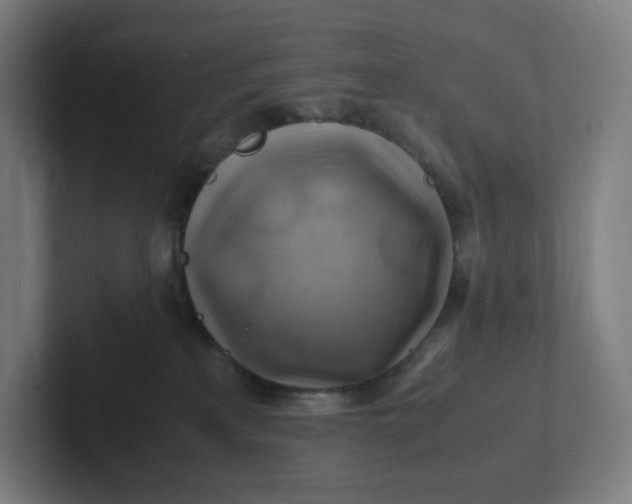 X0000102010233200808011149