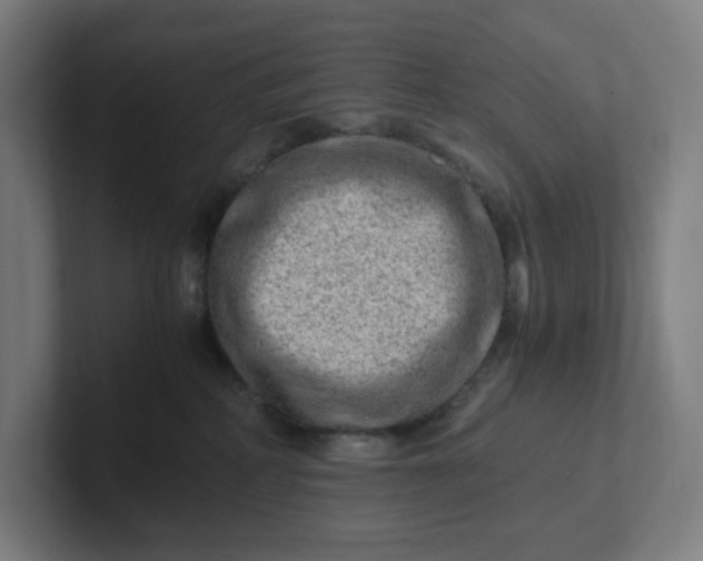 X0000102010234200808011149