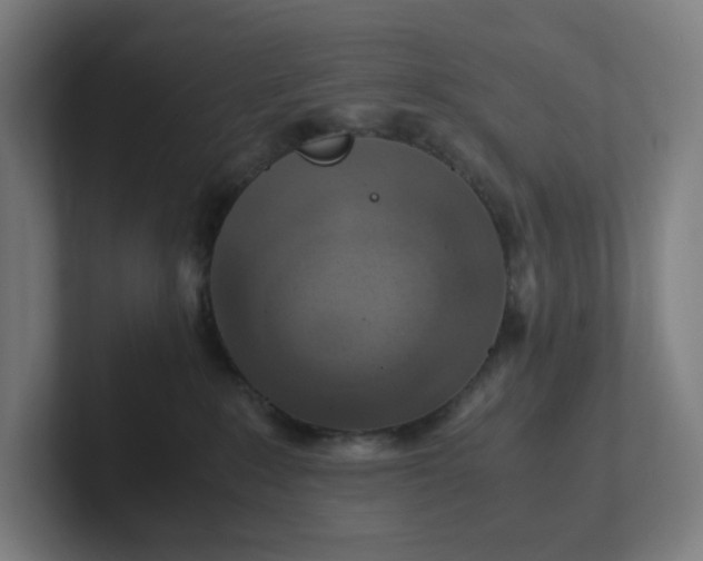 X0000102010235200808011149