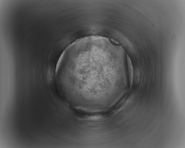 X0000102010236200808011149