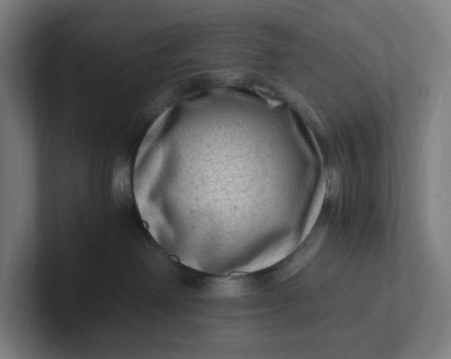 X0000102010238200808011149