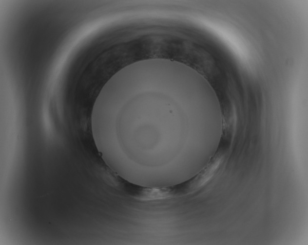 X0000102010239200808011149