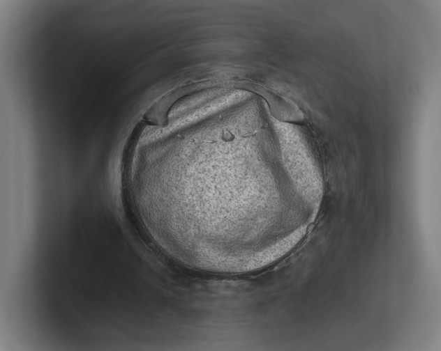 X0000102010242200808011149