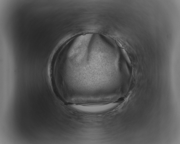 X0000102010244200808011149